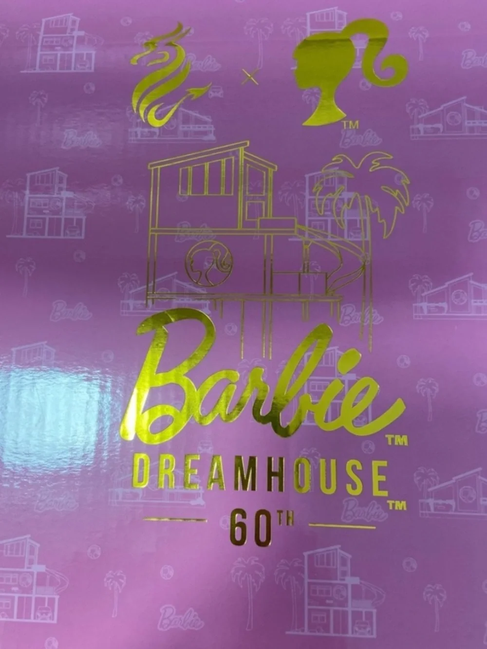Barbie Dreamhouse 60th Gold & Pink Stemmed Wine Glasses Pair